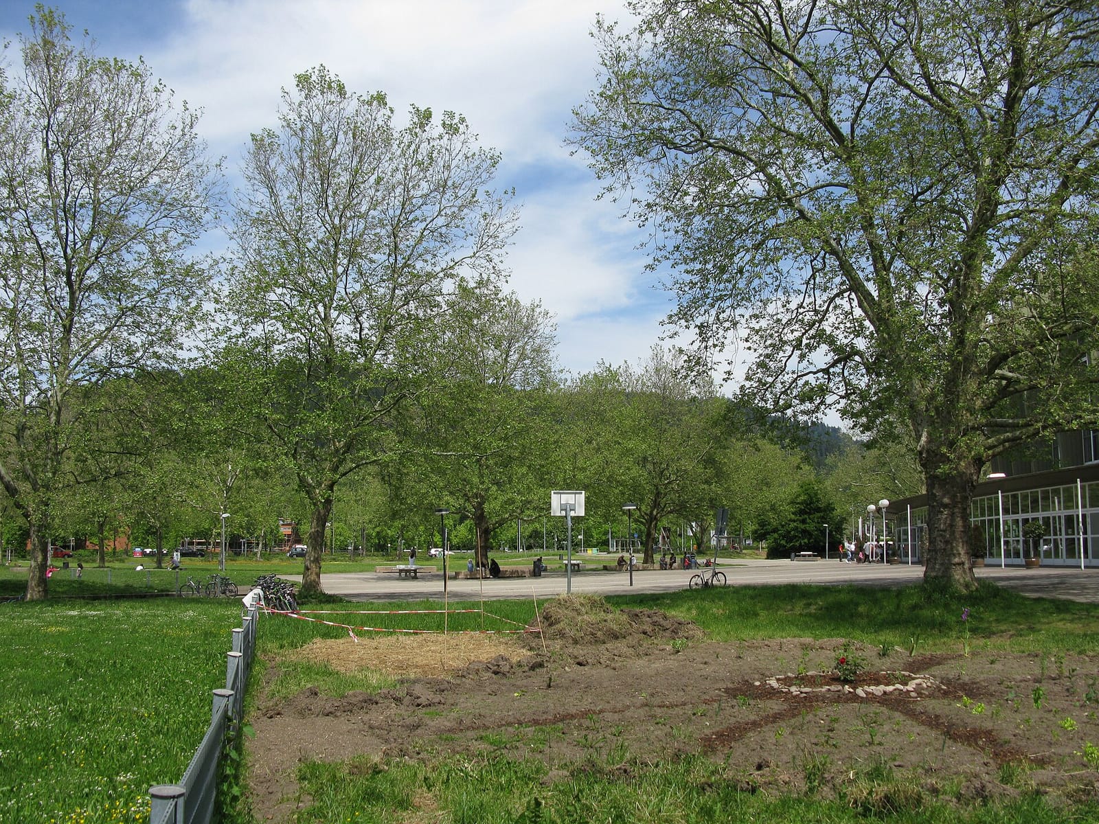 Grünspange bei der Stadthalle Freiburg - Grünanlage mit urbanem Gartenbau nahe dem Zentrum Oberwiehre